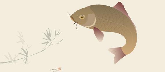 japanese-koi-carp-illustration