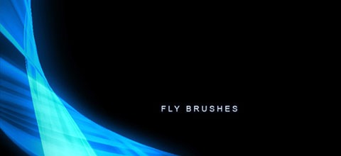 fly-brushes