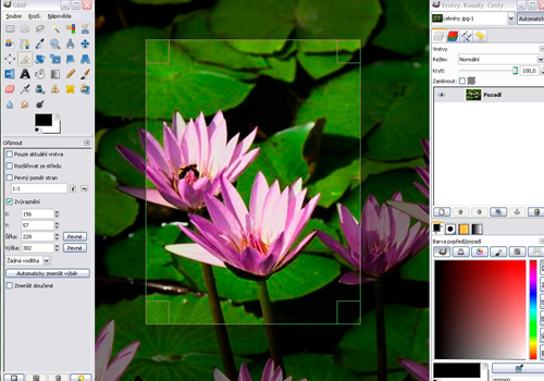 image30 Download 25 Software Design Grafish Gratis