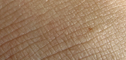 image264 Best Of The Web July For Web/Graphic Design