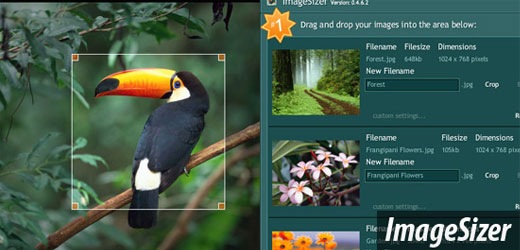 adobe Best Of The Web September For Web/Graphic Design