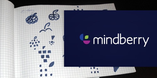 MindBerry 30 Logo profesionales Diseño Procesos Revelados