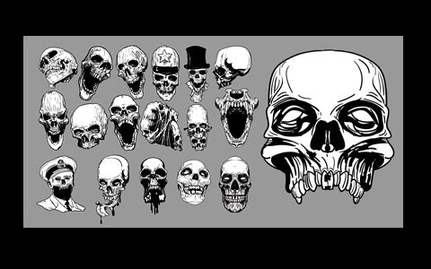 skulls
