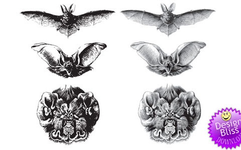 vectorbats