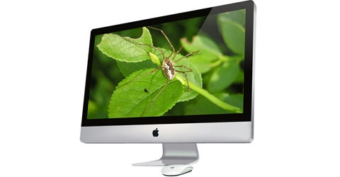 apple-mac apple-mac