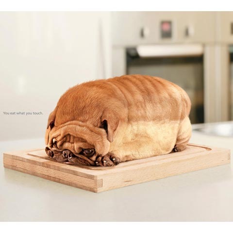 lionbread 100 Most Funny and Creative Advertisement Designs