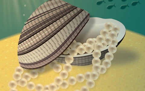 pearls 100 Fresh New Photoshop And Illustrator Tutorials From 2010
