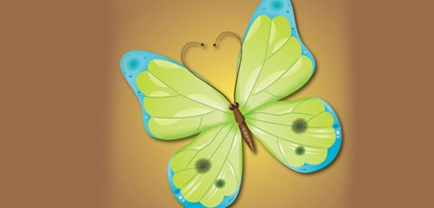 butterfly