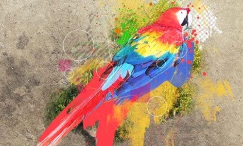 birdwatercolor 100 Photoshop Tutorials For Learning Photo Manipulation
