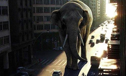 elephant-in-city