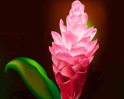 gradient-mesh-flower