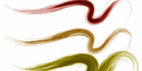 customvectorbased 25 Best Illustrator Brushes All In One Place