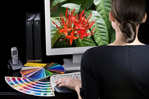 bigstock Designer at work Color sample 15601682 5 reasons you should become a freelance designer bigstock Designer at work Color sample 15601682 5 reasons you should become a freelance designer