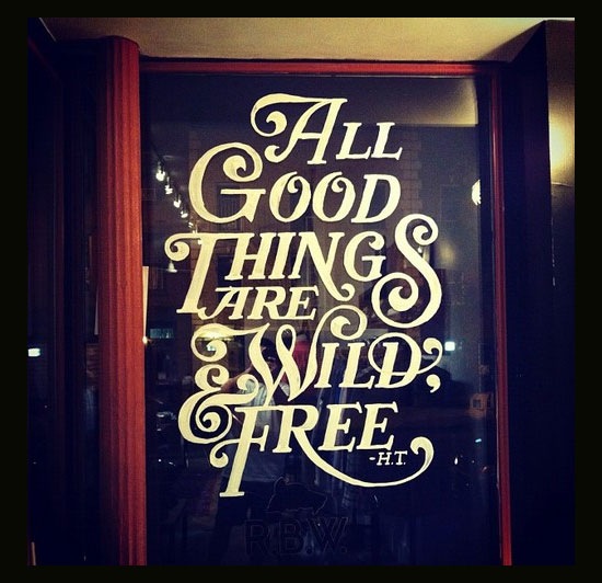 allgoodthingsarewildandfree 70 Beautiful Typography Designs Truly Jaw Dropping 