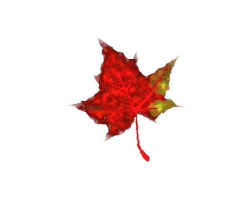 leafillustration 50 Tutorials For Creating Vector Graphics Using Free Software Inskape