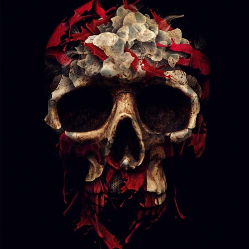 skullflower.jpg