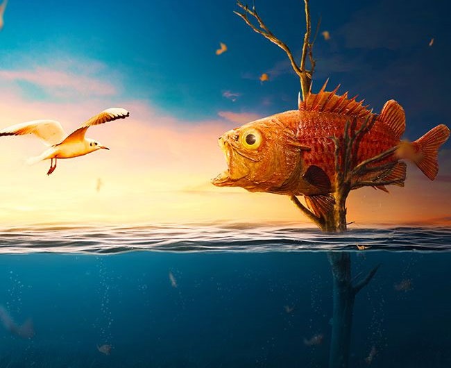 80 best Photoshop tutorials created in 2016  Creative Nerds